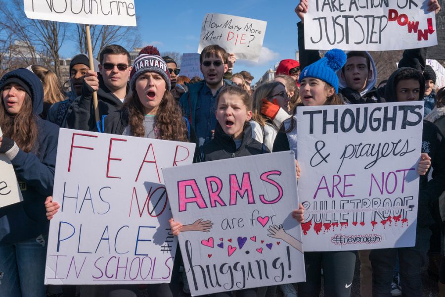 March For Our Lives – The Nationalist
