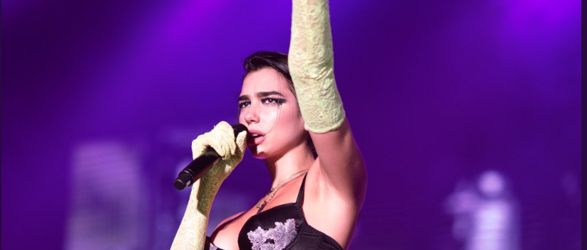 Dua Lipa fans forcibly removed by security at concert