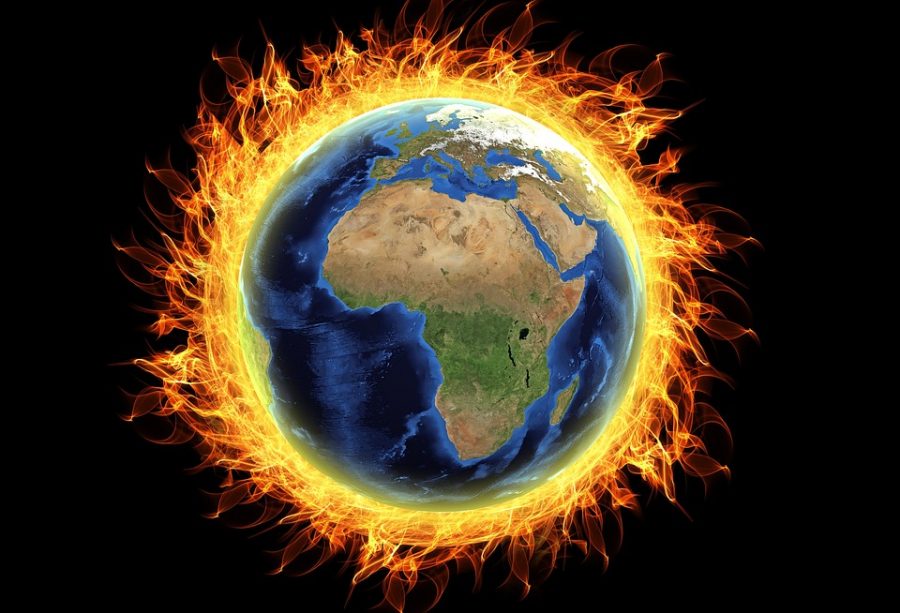 2018+summer+heat+wreaks+havoc+across+the+globe