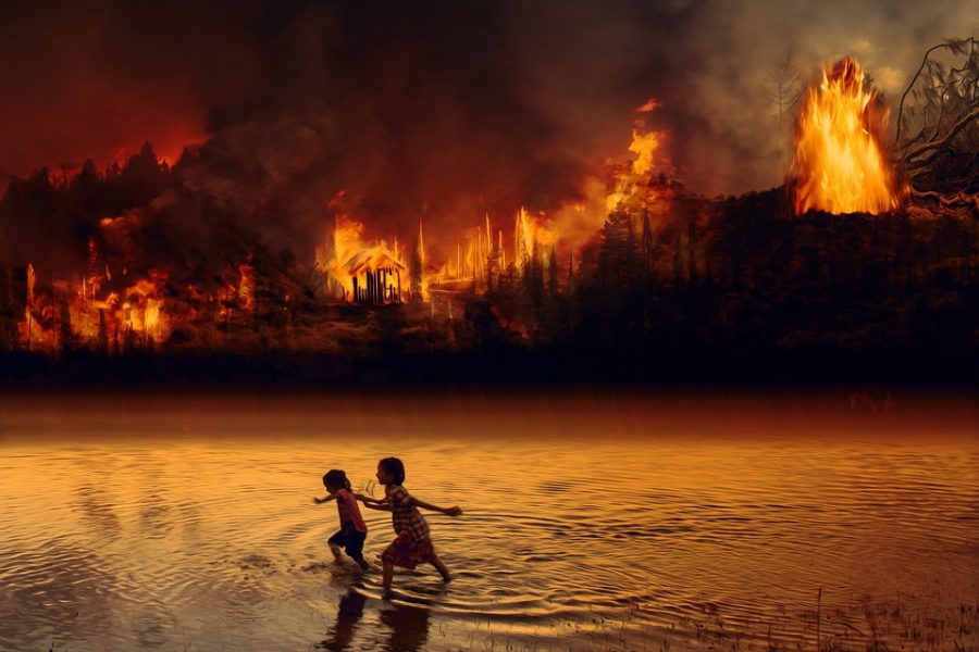 Forest Fire Fear Fire Children Amazon Flame