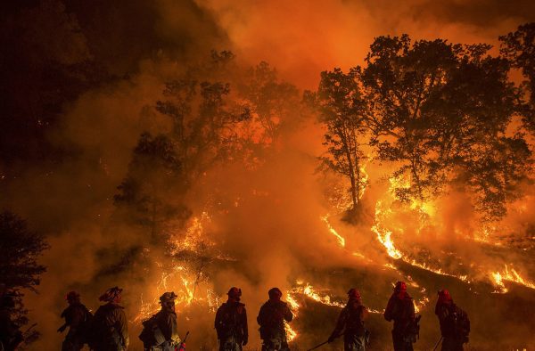The impact of wildfires across nations