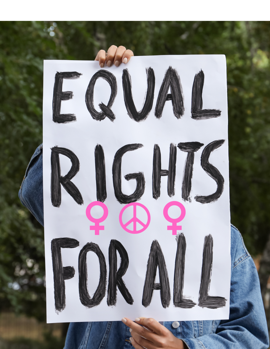 The History of The Equal Rights Amendment